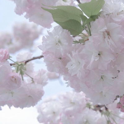 长宁FurryQQ群介绍